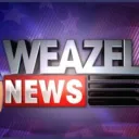 Weazel News Hurricane I FA