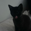 /sleepy Discord server icon