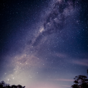 매직 [ MAGIC ] Discord server icon