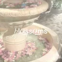 𝑏l𝑜͟ss𝑜͟ms   / 𝑏lossom𓂃 🕯   (undr rvmp)