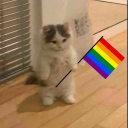 GROUP CHAT .𓂃 ࣪˖ ִֶָ🎄་༘࿐ Discord server icon