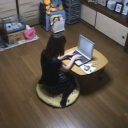 underground railroad Discord server icon