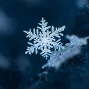 в тихом омуте