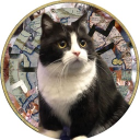 Wolfsschanze Discord server icon