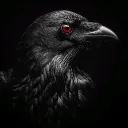 L'Œil du Corbeau