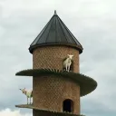 The Goat Tower