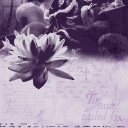 ⋆˚ 𝑫𝒓𝒆𝒂𝒎 𝒅𝒘𝒆𝒍𝒍𝒆𝒓𝒔 ⋆₊๋ ࣭