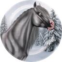    | Northern Professors OS Discord Server Icon