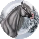  | 𝑵𝒐𝒓𝒕𝒉𝒆𝒓𝒏 𝑷𝒓𝒐𝒇𝒆... Discord Server Icon