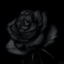 The Rose Garden