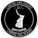 Server icon