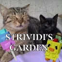 Strividi's Garden