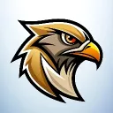 FALCON ESPORTS 🇮🇳