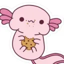 THE CULT OF NOM