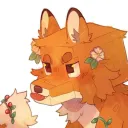✦ Kit's Kits ✦