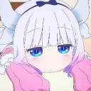 DRAIZER ACCOUNTS