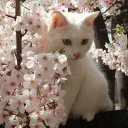 #nosleep Discord server icon