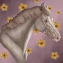 𝑼𝒍𝒕𝒓𝒂 𝑭𝒍𝒐𝒘𝒆𝒓𝒔