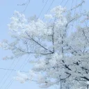 //.Silent Reminiscence