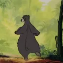 𝓣𝓱𝓮 𝓙𝓾𝓷𝓰𝓵𝓮