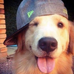 Discovery icon for Vaultix Discord server