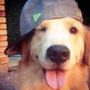 Vaultix Discord Server Icon