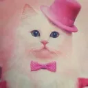 place of love and fun Discord server icon