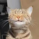 Suka suka