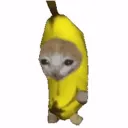 Banana Paradise