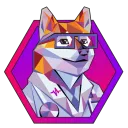 DrDoge