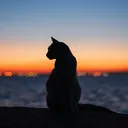 cat