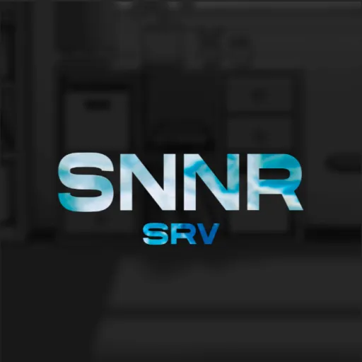 SNNR SRV — Monitoring des Discord-Servers, Statistiken und Bewertung