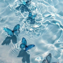 ⋆.  e u n o i a 🦋 ⋆ ˖˚ Discord server icon