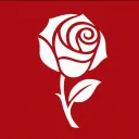 Rose Party 🌹