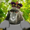 Sir.Chimpsalot's kingdom