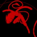 🩸 HATREDS DOMAIN