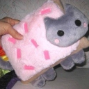 ﹒ ノraining tacos Discord server icon