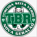 Torcida Seita Verde - Roblox