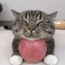 Nô lệ tư bản
