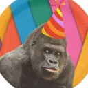 project party hat