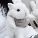 ᴿᵉˢᵗⁱⁿᵍ ᴾˡᵃᶜᵉ ₍ᐢ. .ᐢ₎