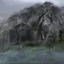 𝐭𝐡𝐞 𝐬𝐡𝐫𝐨𝐮𝐝𝐞𝐝 𝐫𝐞𝐚𝐥𝐦