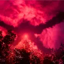 Insanity In Heroics: Dead By D... Discord Server Icon