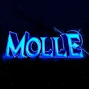 Molle's Portfolio