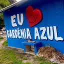 GARDÊNIA AZUL | GARDENIA RJ