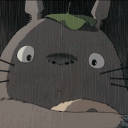 ꒰ 𝙨𝙩𝙤𝙧𝙢 .ᐟ.ᐟ