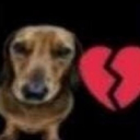 ʟᴜɴᴀʀɪᴀ!  ₍˄·͈༝·͈˄₎◞ ̑̑ೃ࿔ Discord server icon