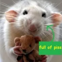 The rat Queendom