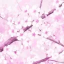 Blossom |1/1