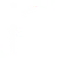 Stargate Race